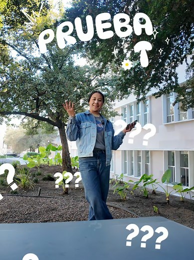 Todo sobre la Prueba T en Tec de Monterrey
