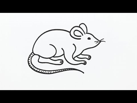 How to Draw a Rat Step by Step | Easy Rat Drawing Tutorial for Beginners