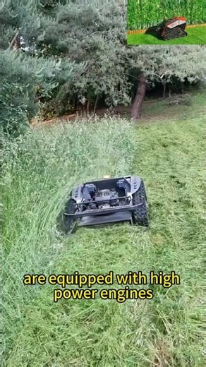 remote control multi-functional multitasker for sale online with best price