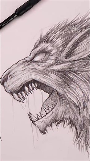 sketch of a realistic wolf ||HR HARSH || #drawing #drawingstyles #edit