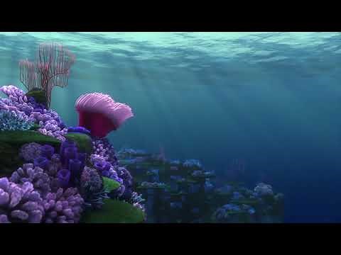 Finding Nemo Reef Compilation