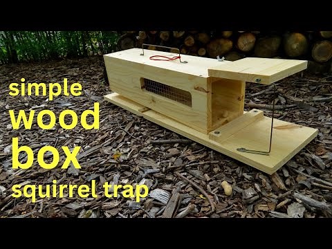How to Make ● a Simple HUMANE TEETER-TOTTER Squirrel / Rat Trap