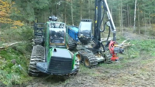 The Strongest Machines Uniting for a Powerful Task in the Woods