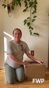 31K views · 509 reactions | One of the biggest threats to wildlife... might be curled up on your couch right now! Domestic cats kill billions of birds and other wildlife each year in the U.S. alone. In Montana they are a major threat to native species, and even with rehabilitation efforts most wild animals injured by cats don't survive. A simple solution? Keep cats indoors and out of the food chain! #WildlifeWednesday Montana Wild - FWP | Montana Fish, Wildlife & Parks | Facebook