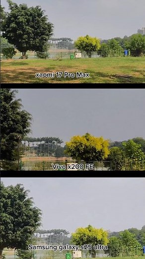 Vivo X200 Pro Vs Samsung Galaxy s 25 Ultra vs Xaomi 17 Pro Max Photography Test Camera Zoom Test