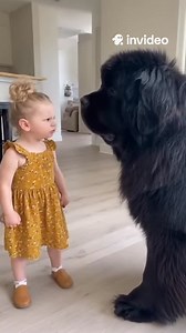 997K views · 25K reactions | She looks so angry 梁 | Home in Pixels | Facebook