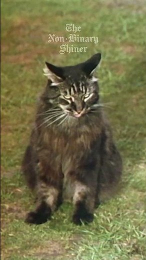 Confuse-a-Cat | Man's Crisis of Identity | Monty Python's Flying Circus #montypython #flyingcircus