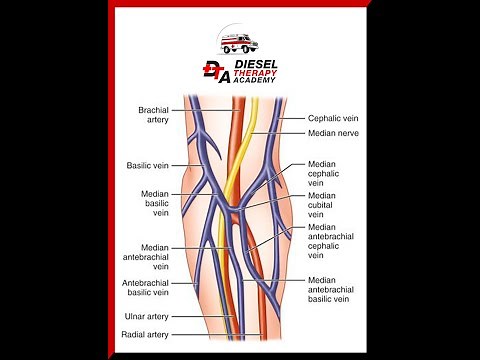 How to Start an IV - Detailed How To Step By Step Video