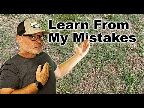 How To Care for a Bahia Grass Lawn Part 2