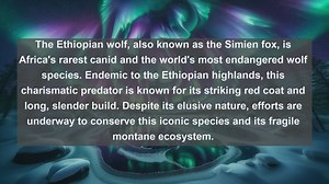 Exploring Ethiopias Wildlife Wonders: Top 10 Native Animals