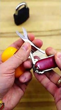 Make a free copy of any key using a Swiss Army Knife