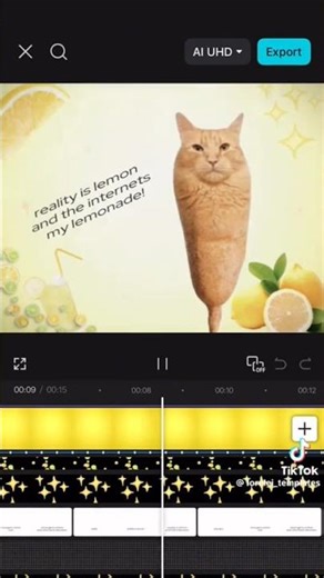 reality Is lemon and the internet's my lemonade 🍋