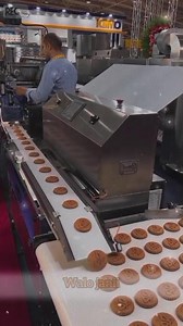 How Sorting Machines Work! | Amazing Technology in Action
