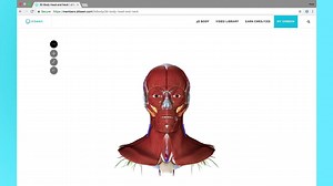 84 reactions |  Lifetime access $39 only! Happy Eid  Don't Miss Our Biggest Sale of the Year!  World's Most Popular Clinical Lectures  Downloadable videos  Multiple playback speeds  See up close with 3D Body | Drbeen | Facebook