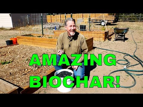 How to Use Biochar in Your Garden (Amazing Benefits)