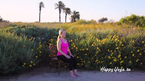 Seated Ab and Waist Workout