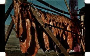 1.2K views · 44 reactions | On March 10, 1957, The Dalles Dam...