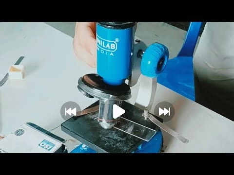 Cell structure of onion|| experiment #trending #youtubevideo