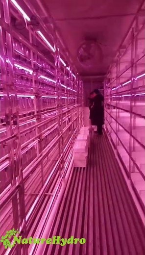 Naturehydro's Hydroponic Container Fodder System
