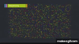 Overview of Illumina Sequencing by Synthesis Workflow on Make a GIF