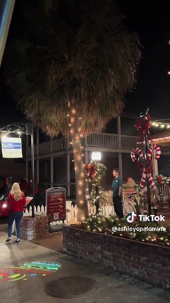 Night of lights lived up to my standards I’m actually obsessed. @✨ St. Augustine, Florida #nightoflightsstaugustine #staugustine #christmas #lights #CapCut