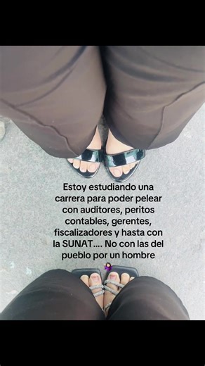 Estudiando Contabilidad para Enfrentar Auditores