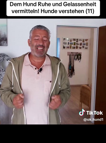 ok.hund1 on TikTok