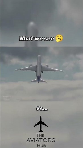 What We See vs What Pilots See | Vertical Takeoff POV #shorts