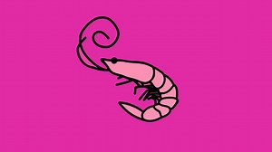 Black, White, Green or Blue / Flamingo | Know Your Meme