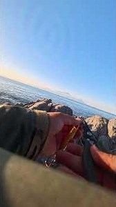 Silent Symphony of the Sea | 海の静かな交響曲 🌊✨