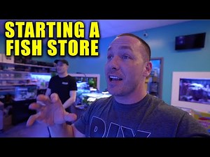 How to Start an Aquarium Shop