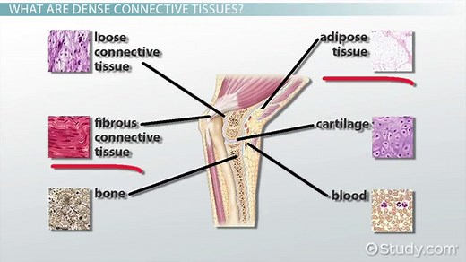 You must c C reate an account to continue watching