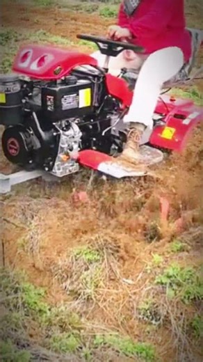 Plowing the Dry Field Alone 🚜 | Small Tractor Hard Work | Real Farming Life #shorts