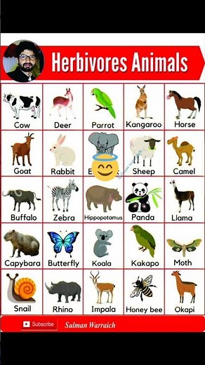 Herbivores Animals| Animal Names| #englishvocabulary