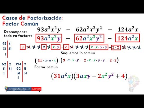 Factor Común - Paso a paso