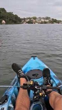 Top 5 Tips For Kayak Trolling with Hard-Bodied Lures in Sydney Harbour - Number 5 - Vary Your Speed