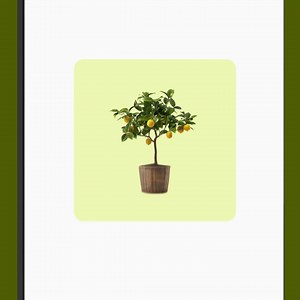 Unifiez votre boutique physique et en ligne pour vous connecter avec plus de personnes. Où que vous vendiez. | Shopify