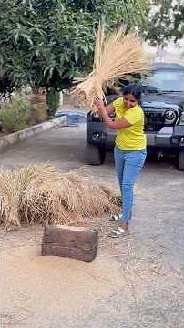 🫛🌾 Soil Lekunda Kandikaya Plants Paddy Grass లో పెంచుదామా?!😲