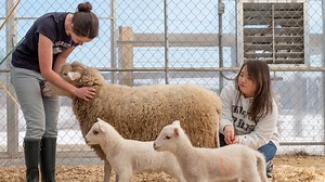 Animal Science (B.S.)