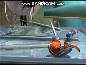 finding nemo,darla,scene