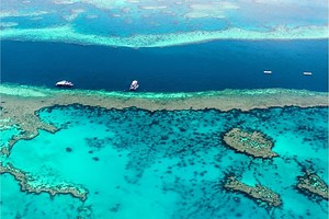 Great Barrier Reef: The Ultimate Fact & Information Guide