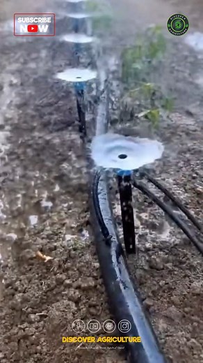 27K views · 62 reactions | Introducing our new drip irrigation...