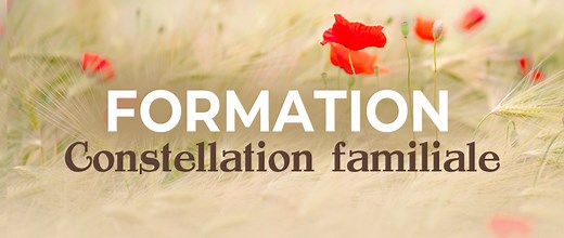 Formation Constellations Familiales | Devenir praticien