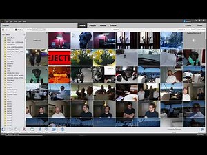 Photoshop Elements 2020 Tutorial The Organizer Environment Adobe Training