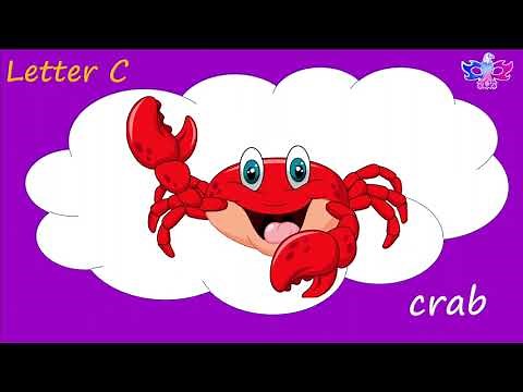 Letter C words with pictures | Learn the Letter 'C' with Pictures: An Artistic Alphabet Expedition