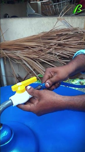 India's Biogas Revolution: Beyond Kitchens.