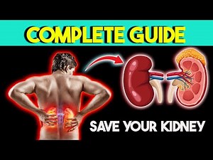 Kidney Pain | Kidney Pain Location on Body | Treatment of Kidney Stones