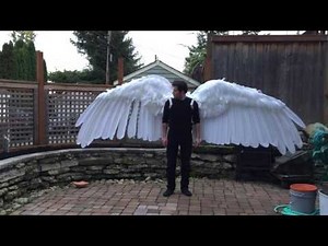 Articulated Pneumatic Wings