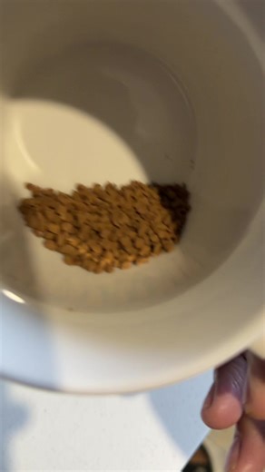 Healthy Snack Ideas with Organic Ingredients