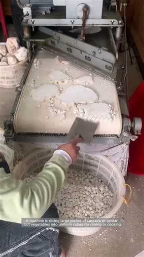 Perfect Cuts — Cassava Processing with a Slicing Machine